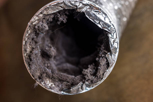 Best Duct Cleaning for Homes  in Gibraltar, MI